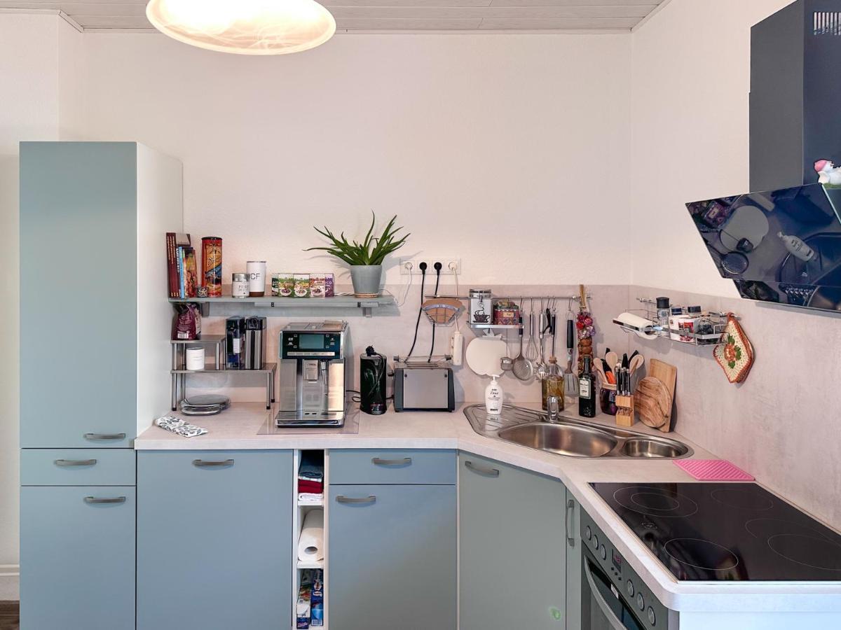 Schoene Altbauwohnung Mit Grosser Sonnenterrasse Rudolstadt Extérieur photo