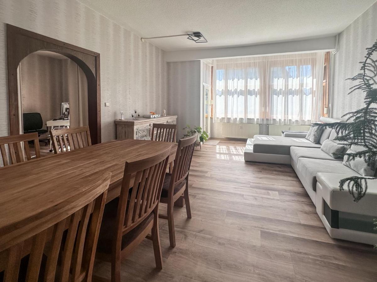 Schoene Altbauwohnung Mit Grosser Sonnenterrasse Rudolstadt Extérieur photo
