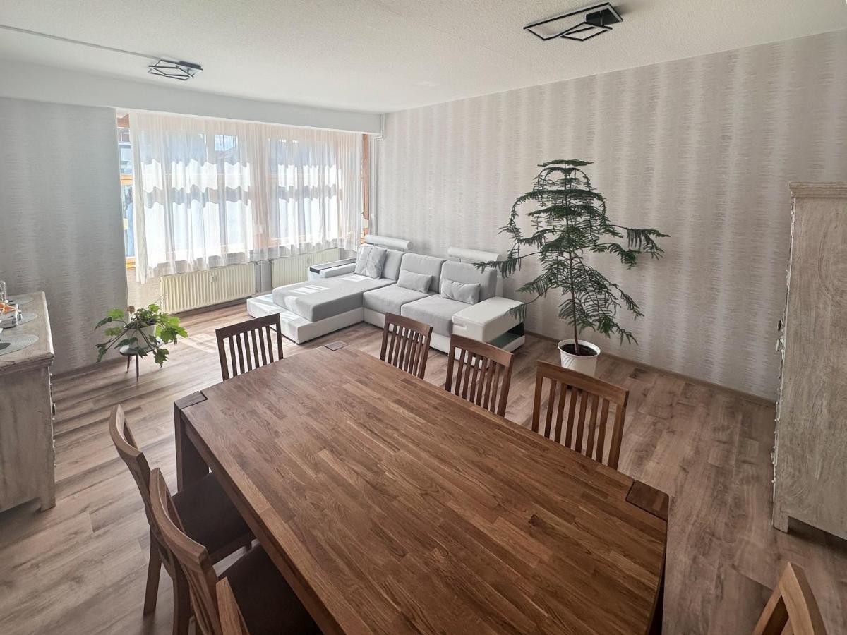 Schoene Altbauwohnung Mit Grosser Sonnenterrasse Rudolstadt Extérieur photo